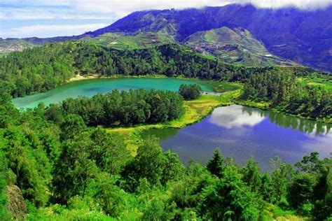 Telaga Warna is the Most Beautiful Place to Discover the Wonders of ...