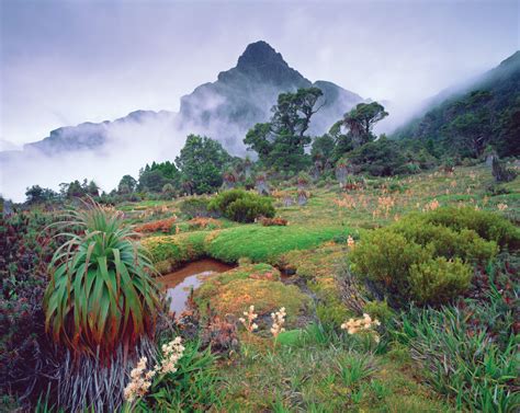 Tasmania – Wildlife and Conservation with Wilderness Flight Safari ...