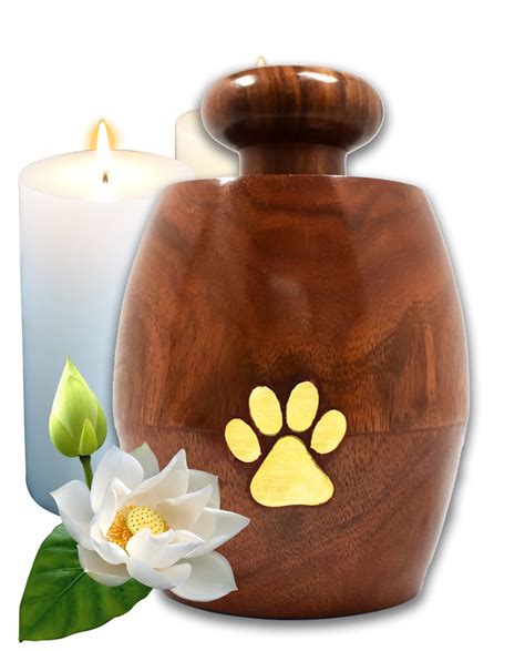 Lindia Artisans Beautiful Wooden Pet Urn Jar with Brass Paw Print ...