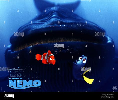 Inside Whale Finding Nemo