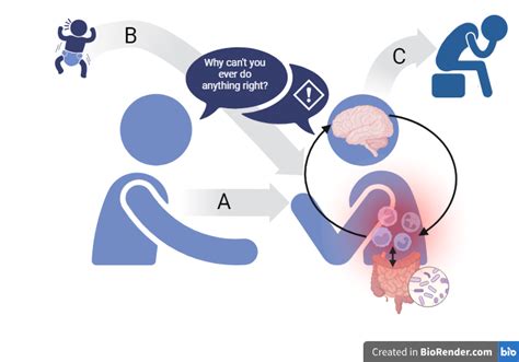 Social Stress Model — Clinical Psychology and Psychoneuroimmunology