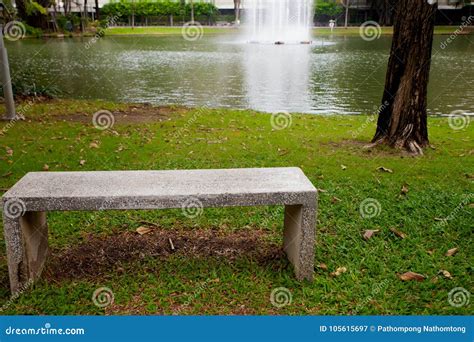 Modern Concrete Bench in the Garden Stock Image - Image of chair ...