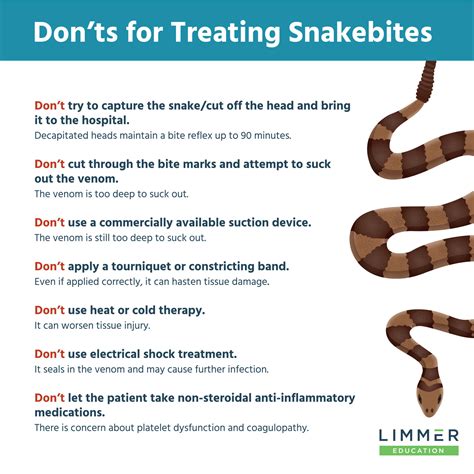 Back To The Basics: Snakebites and EMS – Limmer Education, LLC