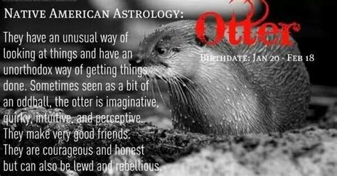 Native American astrology otter-Alisha | Totems | Pinterest | Native ...