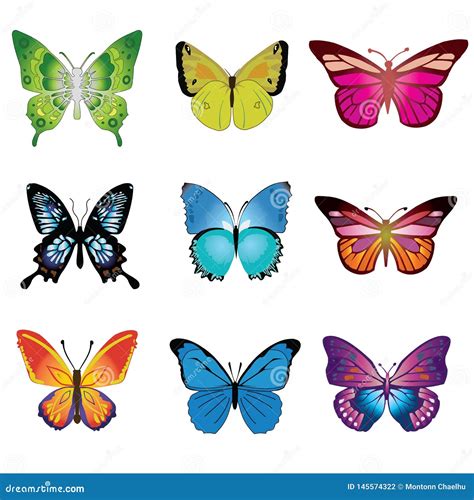 Butterfly Vector Cartoons Design Vector | CartoonDealer.com #145574322