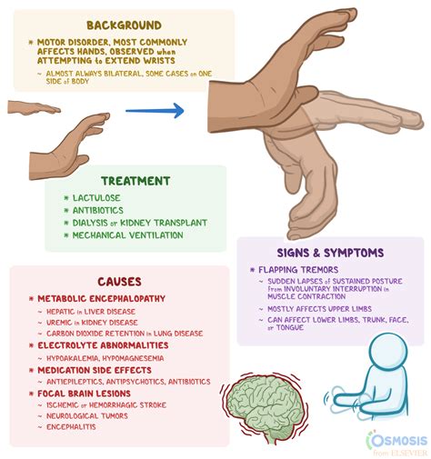 Asterixis: What Is It, Causes, Diagnosis, and More | Osmosis