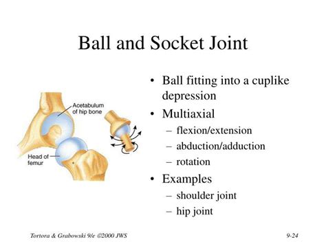 PPT - Chapter 9 Joints PowerPoint Presentation - ID:1703136