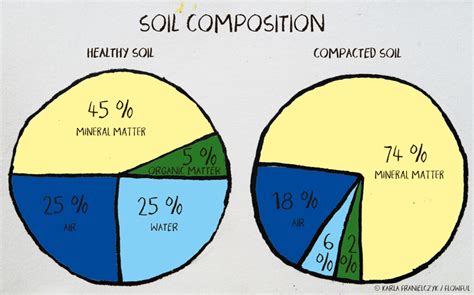 Session 6: Basics of Soil — flowful