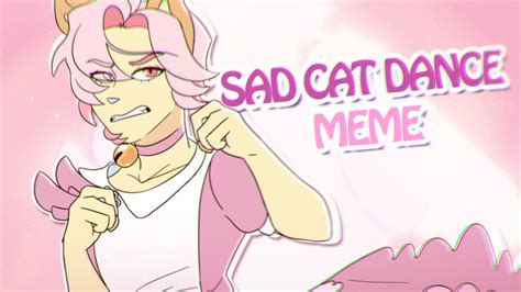 SAD CAT DANCE | Animation Meme - YouTube