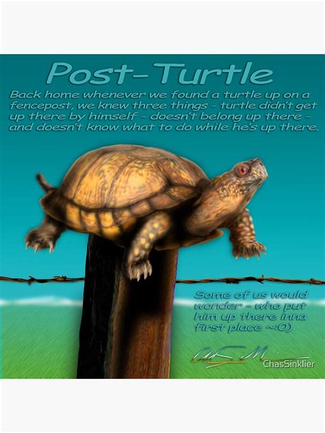 "Post Turtle" Poster by ChasSinklier | Redbubble