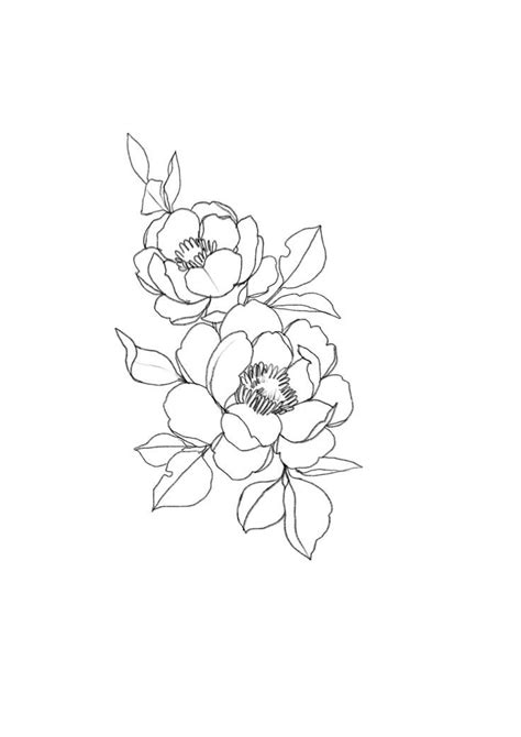 Florals | Flower drawing, Flower sketches, Tattoos