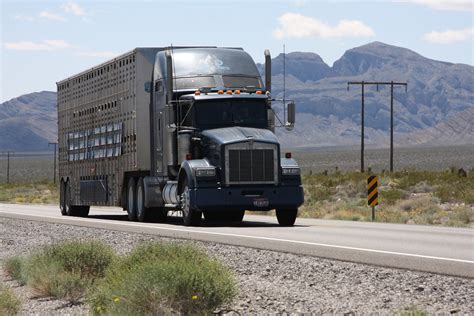 Kenworth Cattle Truck near Las Vegas | Andrew Breeden | Flickr