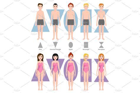 Vector illustration of different body shape types. | Healthcare ...