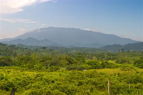 Palawan Mountains