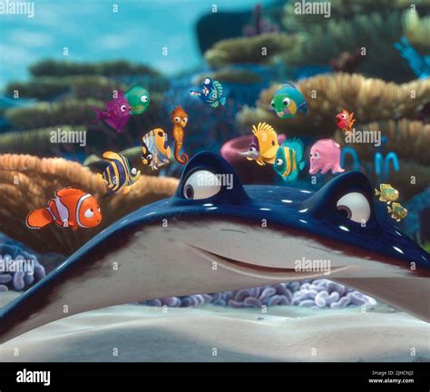 NEMO, MR. RAY, FINDING NEMO, 2003 Stock Photo - Alamy