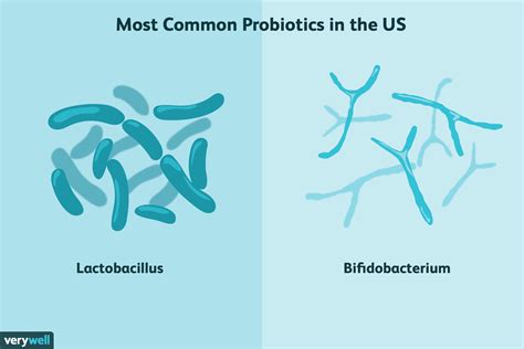 Probiotics: Benefits, Side Effects, Dosage, and More