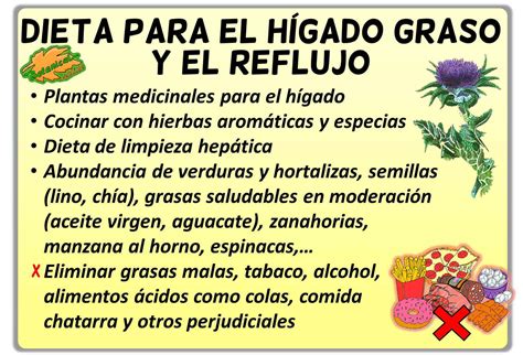 Tratamiento del hígado graso y reflujo – Botanical-online