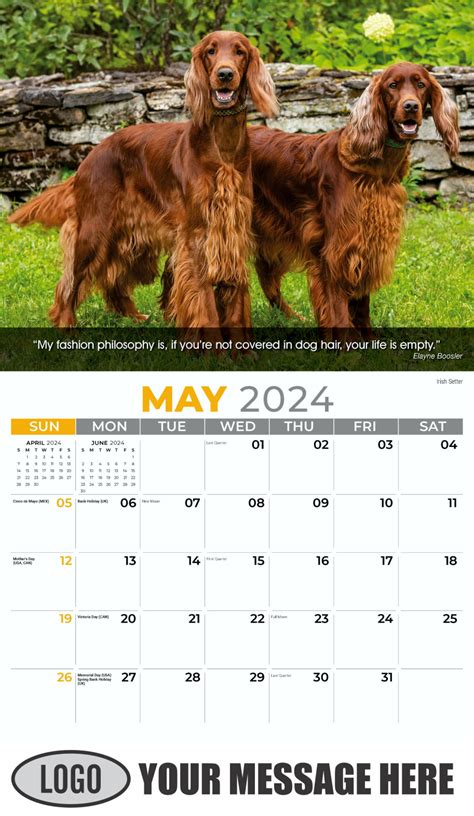 Battersea Dogs Home Calendar 2024 - Lois Sibelle