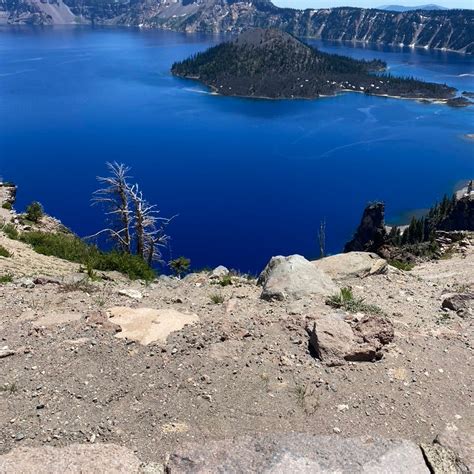 Mazama Village Campground at Crater Lake National Park | The Dyrt