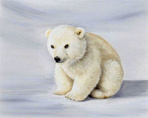 Draw These Animals using Pastel Pencils | Baby polar bears, Polar bear ...