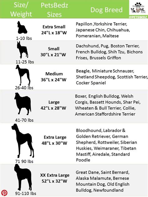 Dog bed size chart...because every dog, large and small deserves a ...