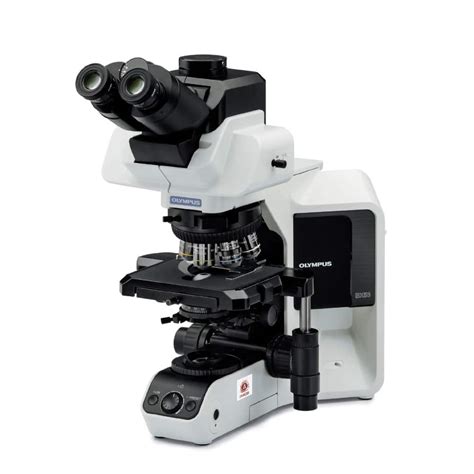 Olympus BX46 Microscope - IMEB Inc.