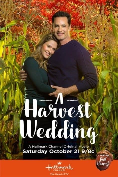 The Complete List of Jill Wagner Hallmark Movies | QC Approved in 2021 ...