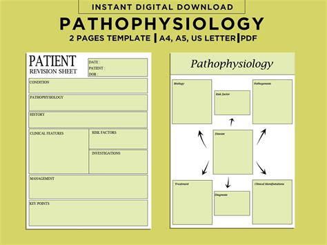 Pathophysiology Concept Map Template