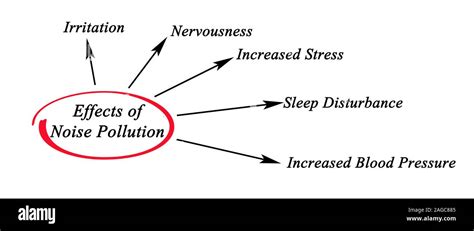 Effects of Noise Pollution Stock Photo - Alamy