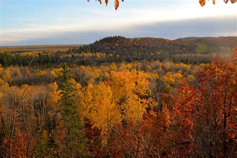 Fall Color in the Ottawa N.F. in 2021 | Fall colors, Cascade falls, Remote