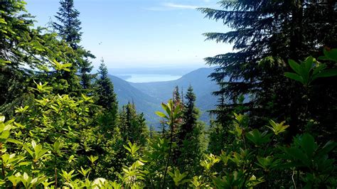 Tunnel Creek - Dosewallips Trailhead — Washington Trails Association