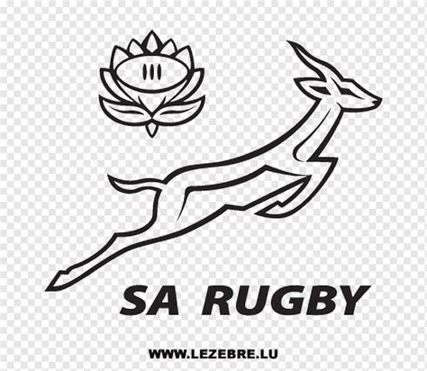 Springbok Rugby Logo