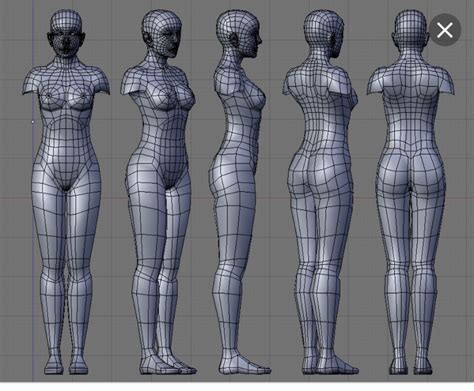 The BLUEPRINT | Character model sheet, Character modeling, Anatomy models