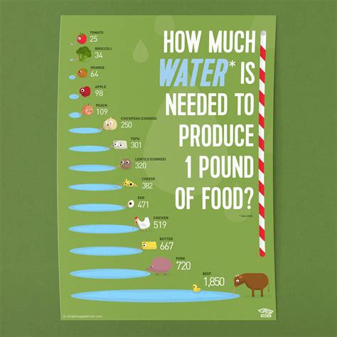 Food Poster | Water Needed to Produce Food | Water Footprint