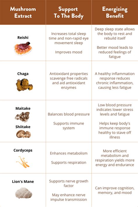 5 Long-Lasting Mushroom Coffee Benefits for Tired People