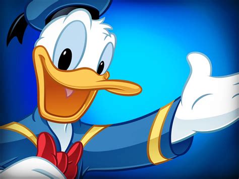 Donald Duck in blue - Cartoon wallpaper