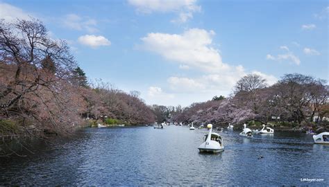 Inokashira Park – Page lakbayer.com|category|places|japan|inokashira ...