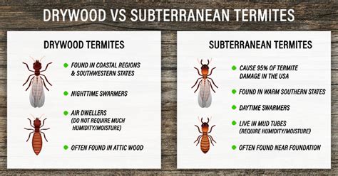 Subterranean Termites Damage