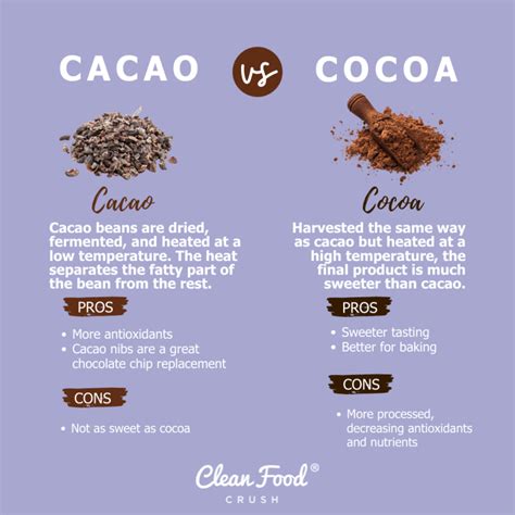 Cacao vs. Cocoa: Which One is Best? | Clean Food Crush