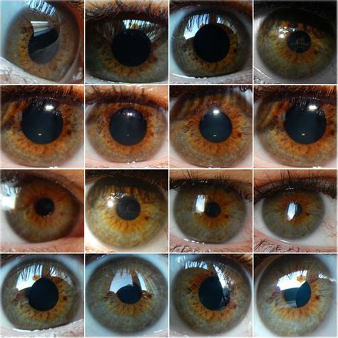 Different Hazel Eye Color Chart