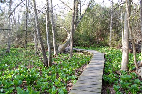 Coldstream - Ontario’s Conservation Areas