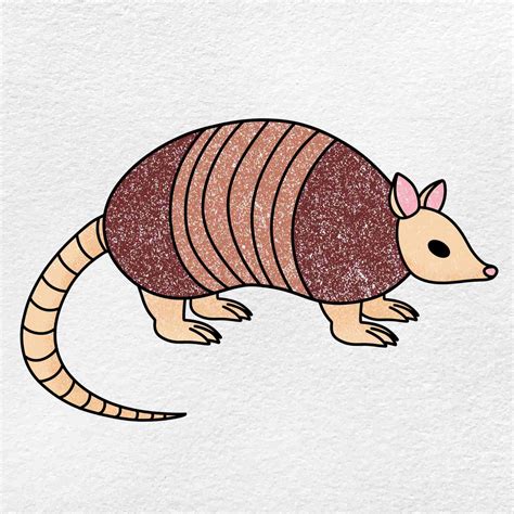 How to Draw an Armadillo - HelloArtsy