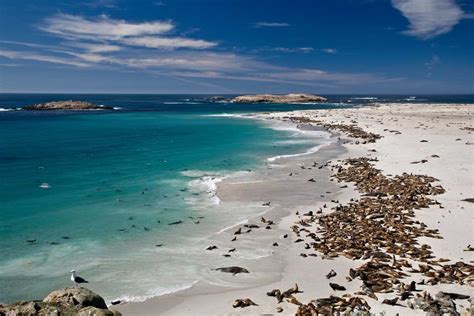 San Miguel Island - Channel Islands National Park (U.S. National Park ...