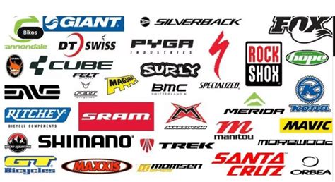 Most Popular Bike Brands 2024: Top Picks & Reviews - The Cyclist Guy ...