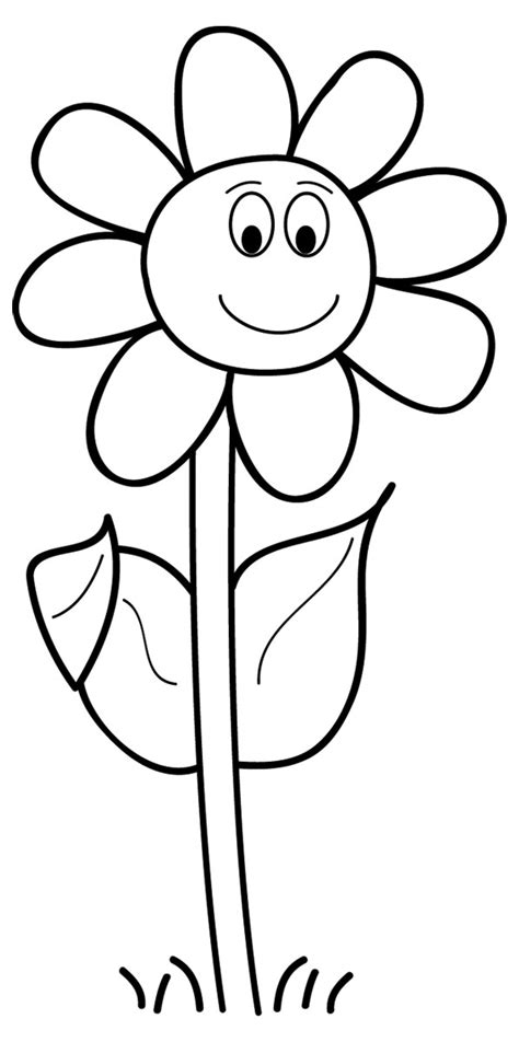 Daisy Flower Drawing - ClipArt Best