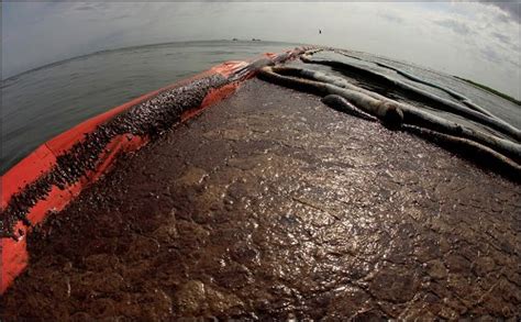 10 Facts about BP Oil Spill | Fact File