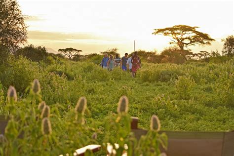 Gallery | Tulia Amboseli Safari Camp