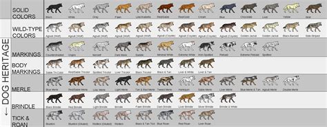 Chart Dog Fur Patterns