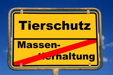 Tierschutzorganisationen fordern Kursänderung