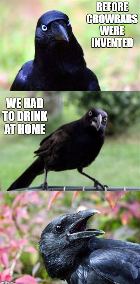 bad pun crow - Imgflip